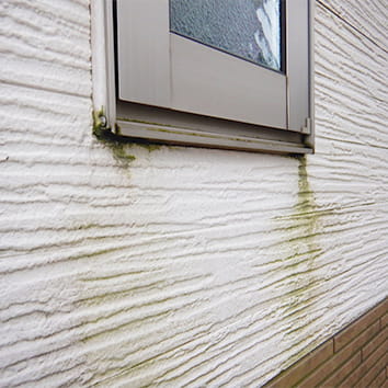 窓枠から雨だれが垂れて緑のコケが生えている様子